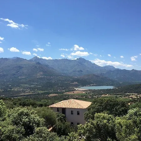 A Piattatella Μοντιτσέλο