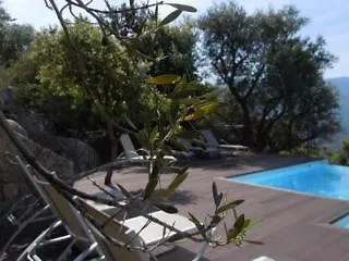 A Piattatella 5* Monticello